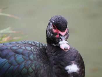 バリケン 檜町公園(東京ミッドタウン) 2022年11月30日(水)