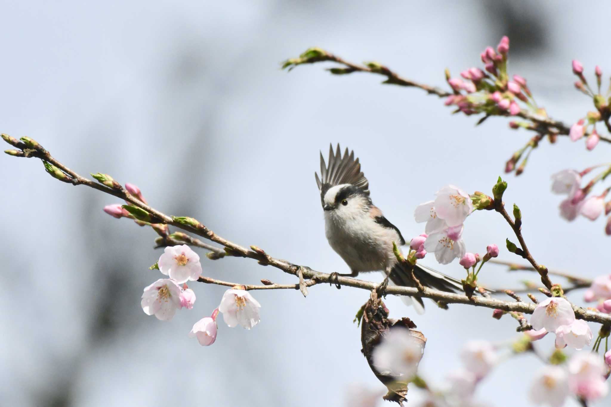 カバー写真を更新しました by TK2