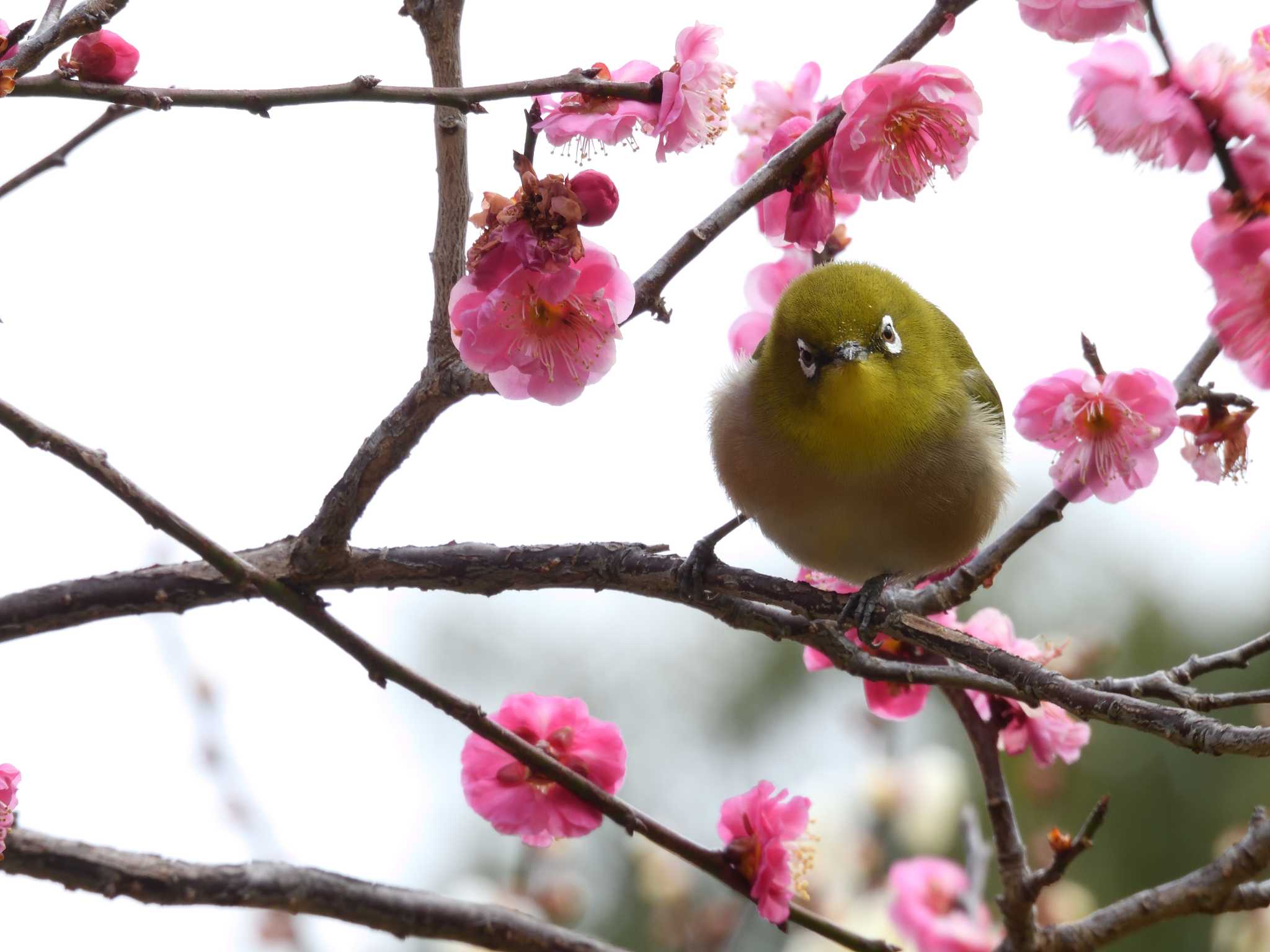 あんたさっきピント外したね？