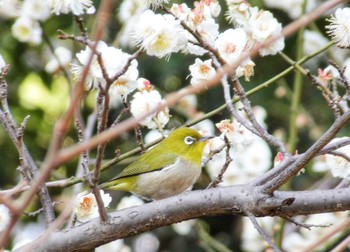 未同定 場所が不明 2023年2月23日(木)