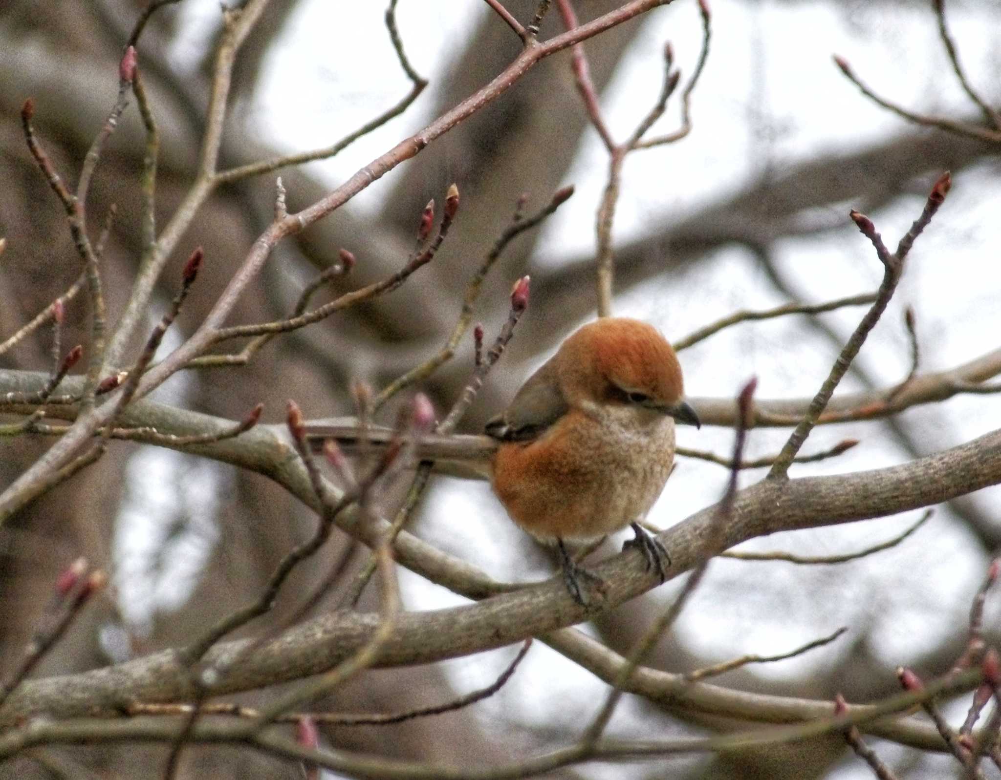 Untitled Photo by ekoneko