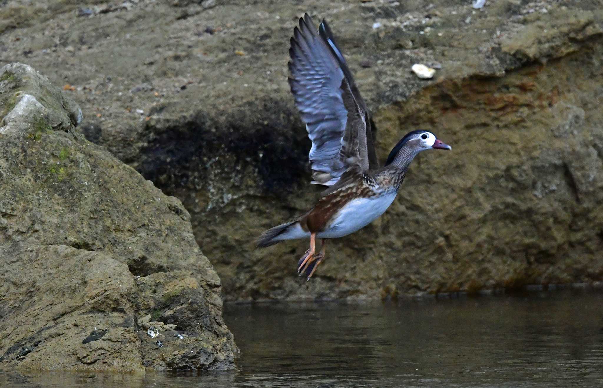 飛ぶ瞬間、頭がノーマルに戻る。