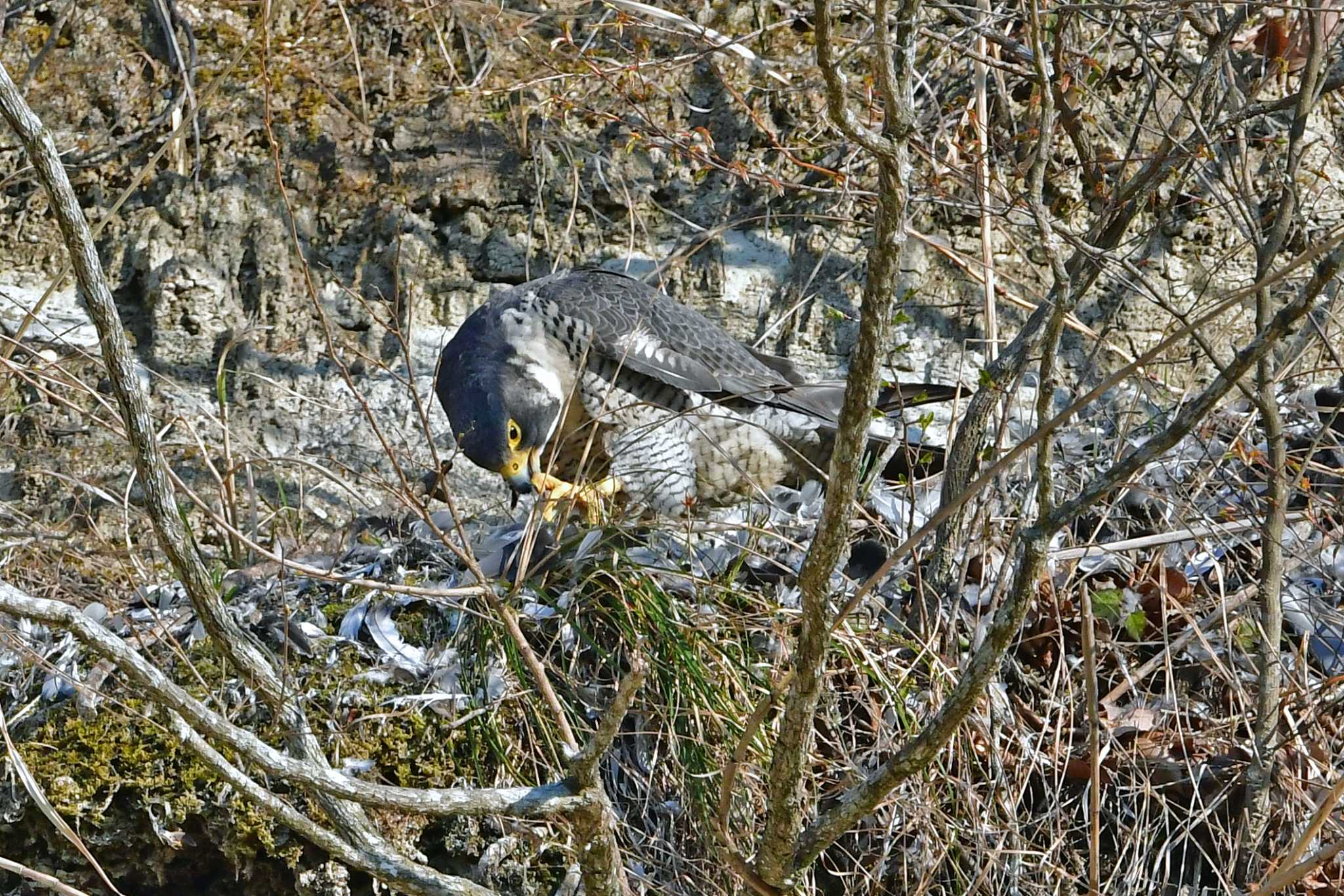 食事は少し余りものっぽい。。。 by Keiichi TAKEDA