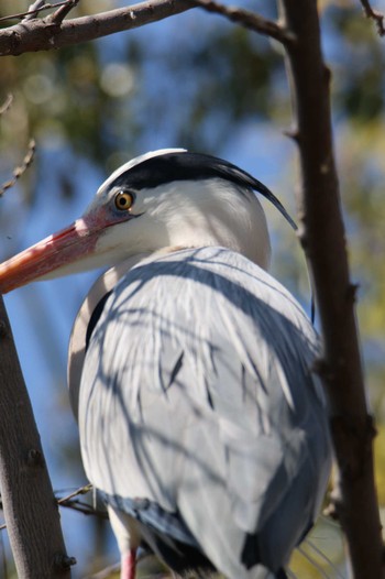 2023年3月20日(月) 野鳥の楽園の野鳥観察記録