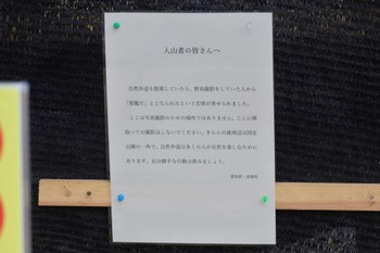 未同定 段戸裏谷 2023年4月4日(火)