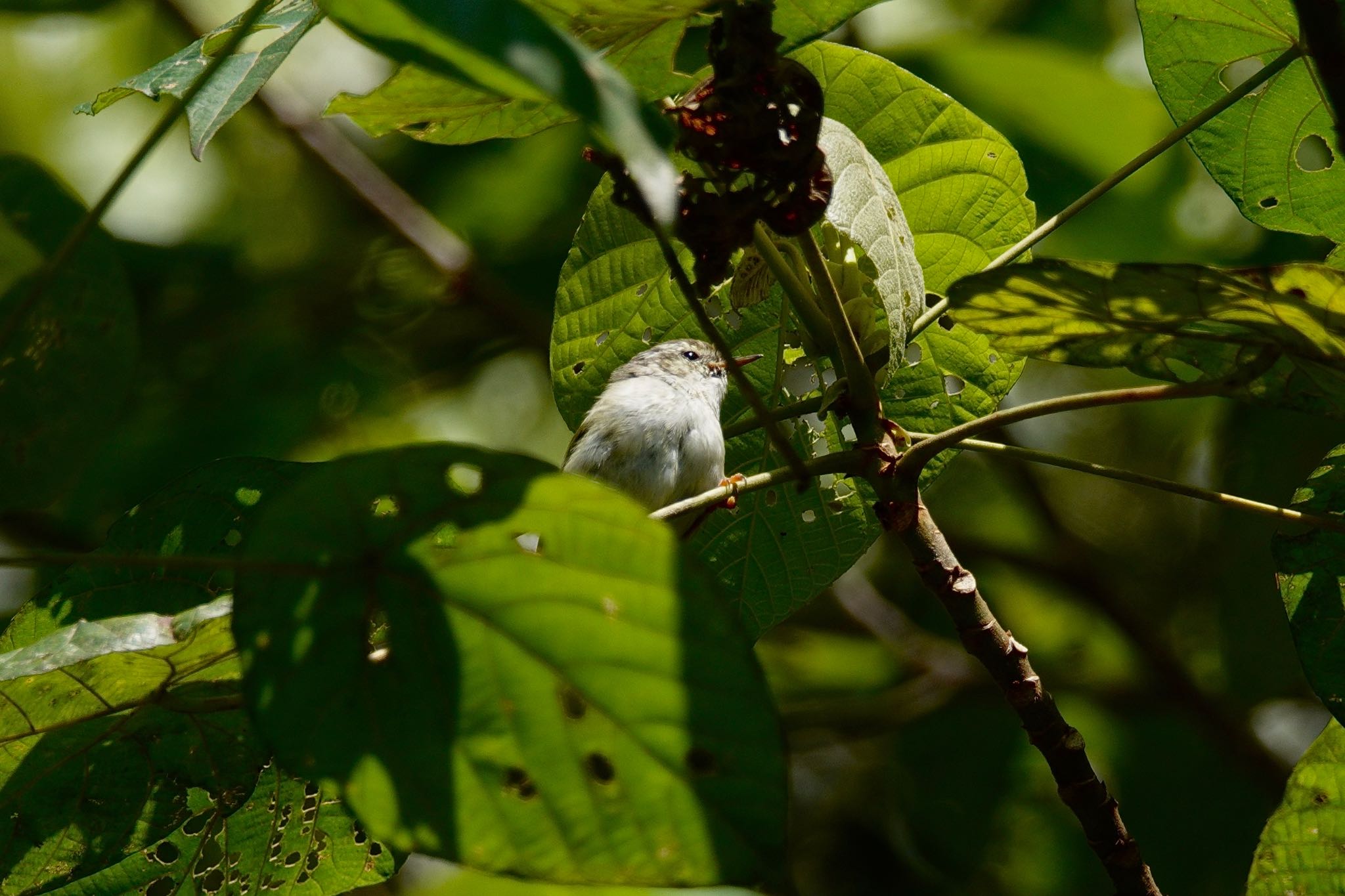 Untitled Photo by のどか