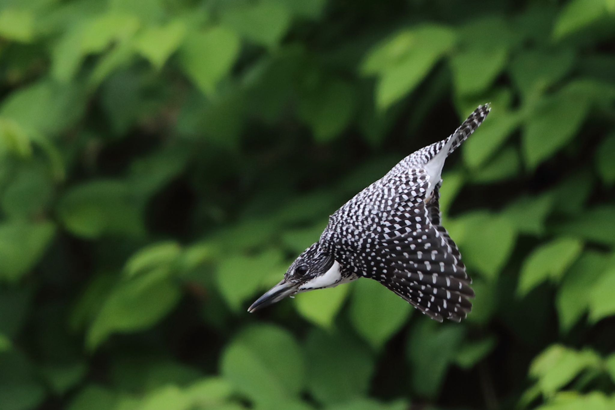 Untitled Photo by 山本亮