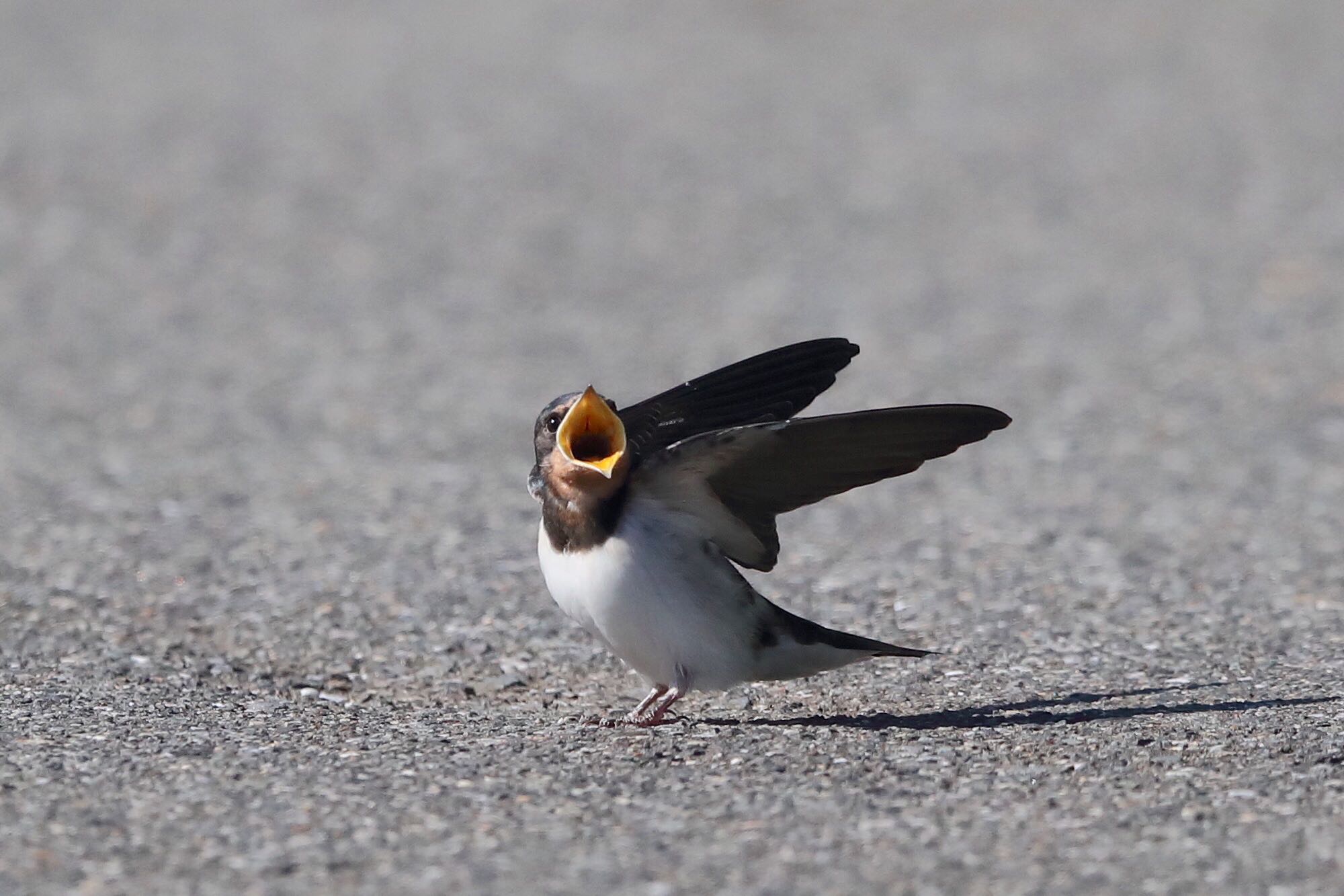 Untitled Photo by 山本亮