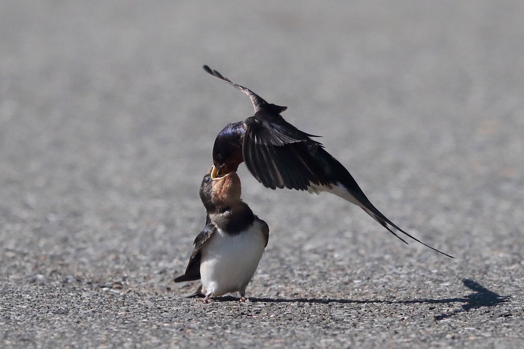 Untitled Photo by 山本亮