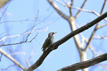 未同定 場所が不明 撮影日未設定