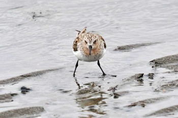 トウネン 葛西臨海公園 2023年5月8日(月)