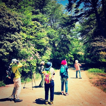 Fri, 5/11/2018 Birding report at Kobe Forest Botanic Garden