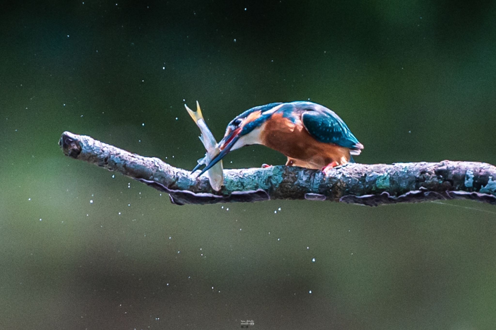 Untitled Photo by ろんべ