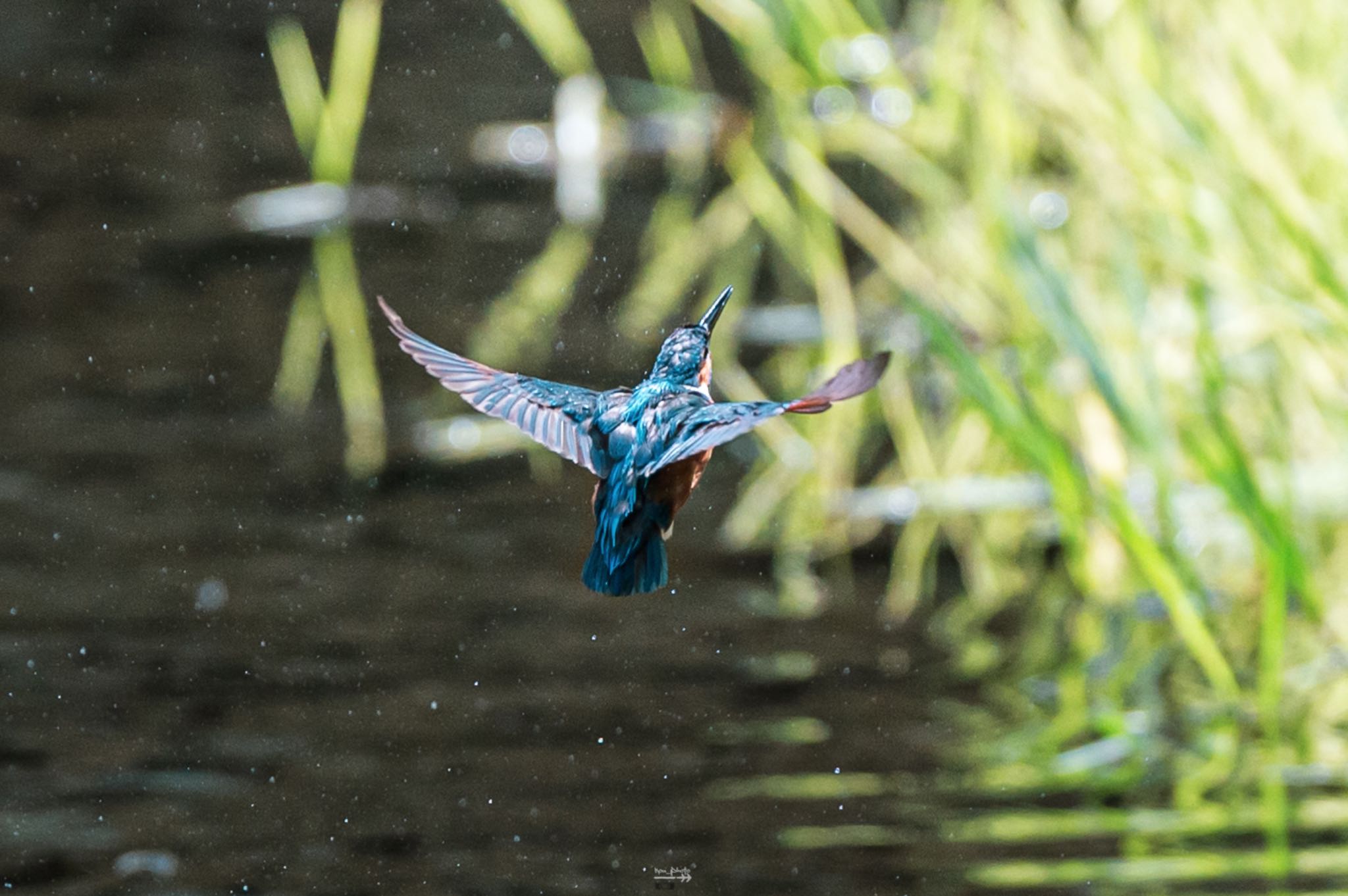 Untitled Photo by ろんべ