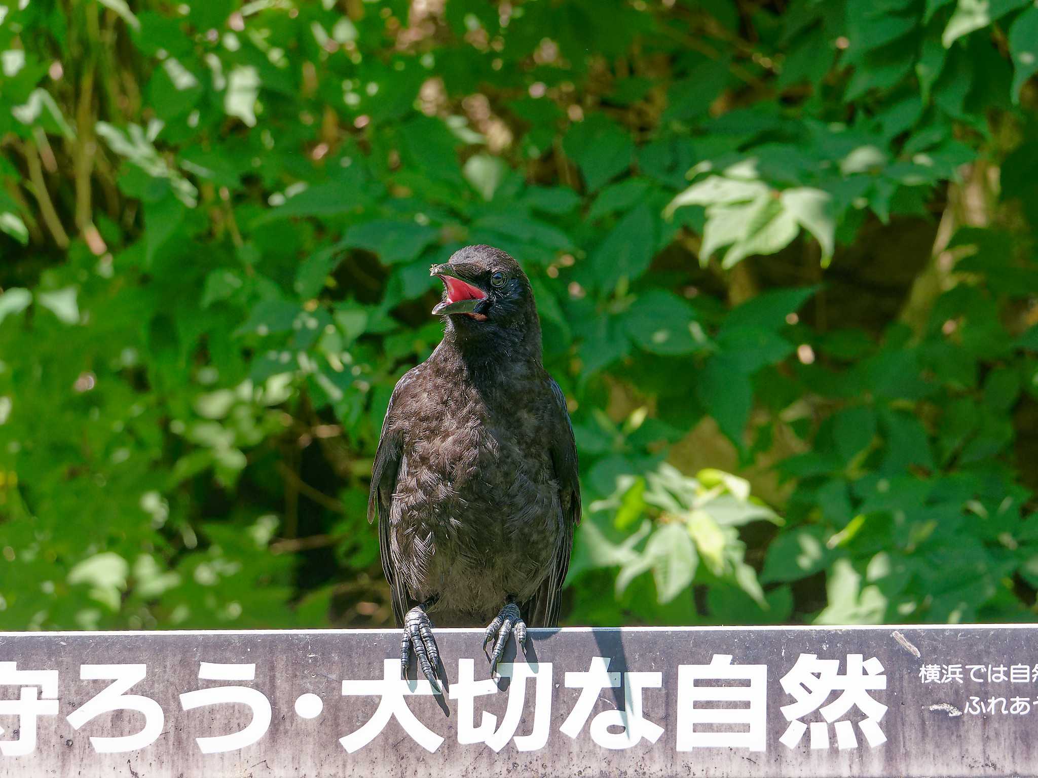 Untitled Photo by しおまつ