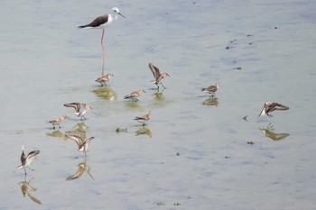 トウネン 場所が不明 2018年8月4日(土)