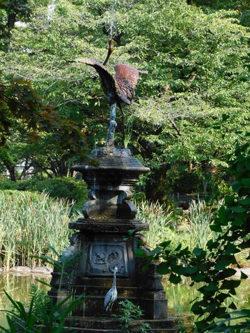 Thu, 7/27/2023 Birding report at Hibiya Park