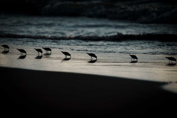 トウネン 石川県 2023年9月6日(水)