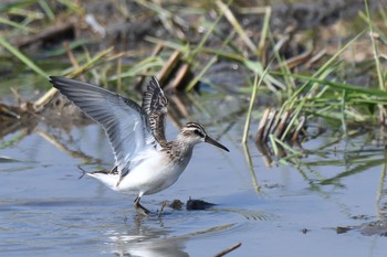 キリアイ 場所が不明 2018年9月5日(水)