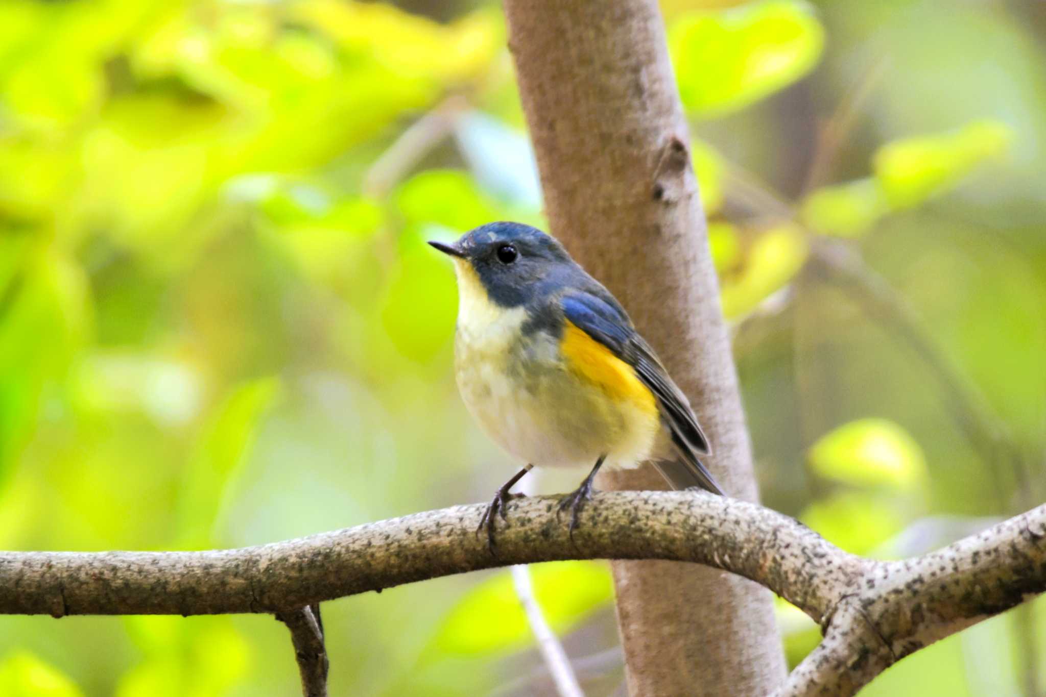 シーズン初撮影💙💛♡