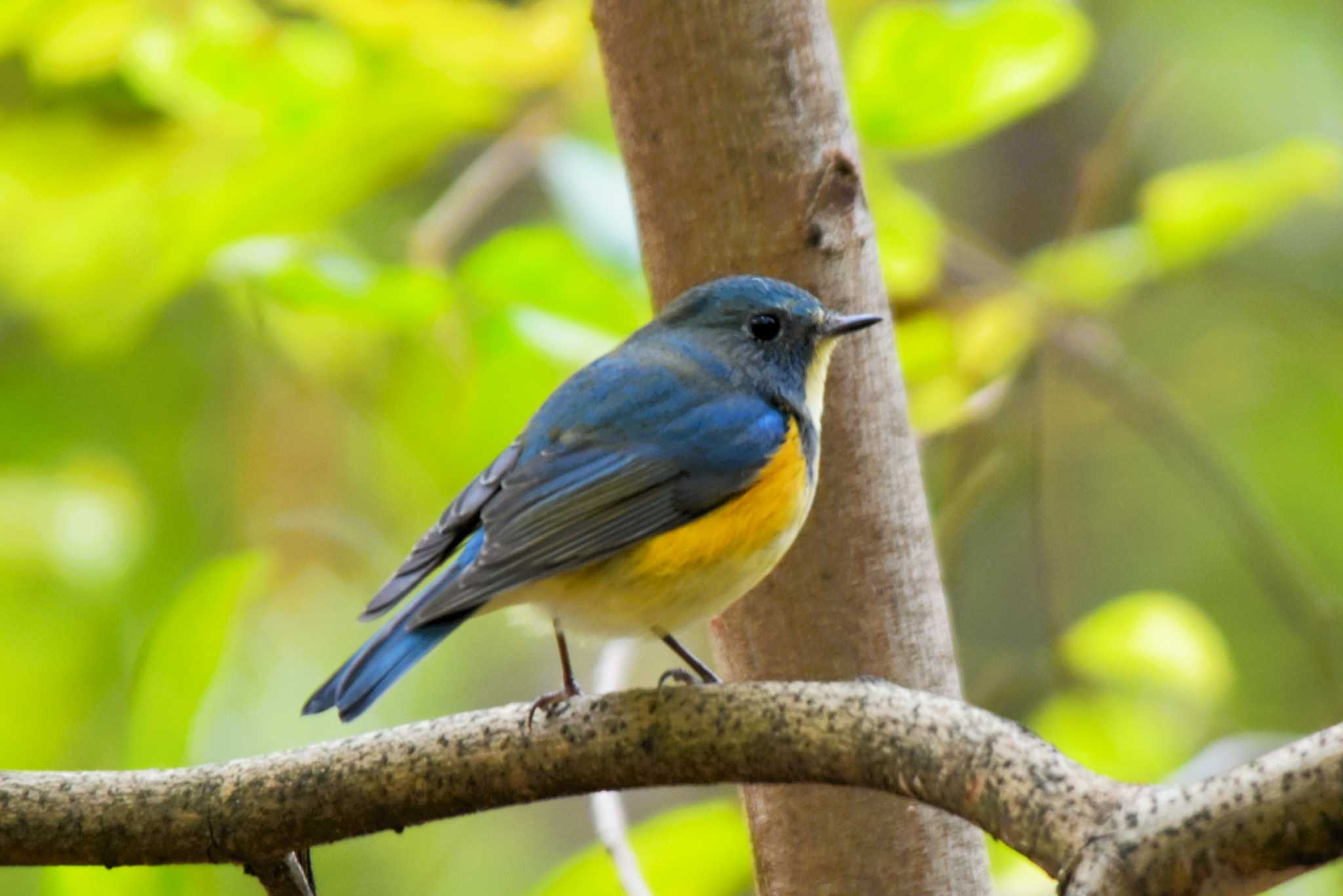 シーズン初撮影💙💛♡