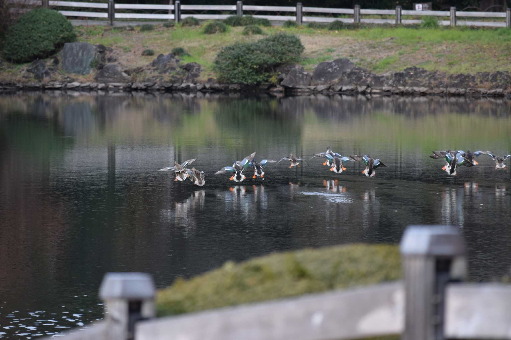 過去の記録 by NM🐥📷