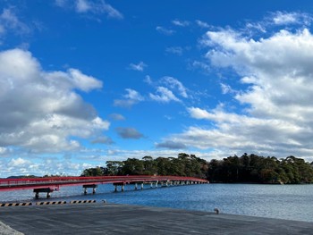 2023年11月30日(木) 松島海岸(宮城県)の野鳥観察記録