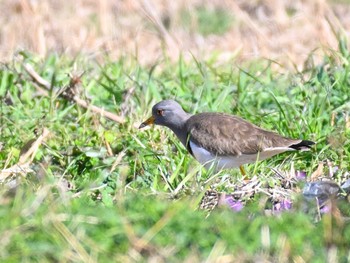 Sat, 12/23/2023 Birding report at 奈良市水上池