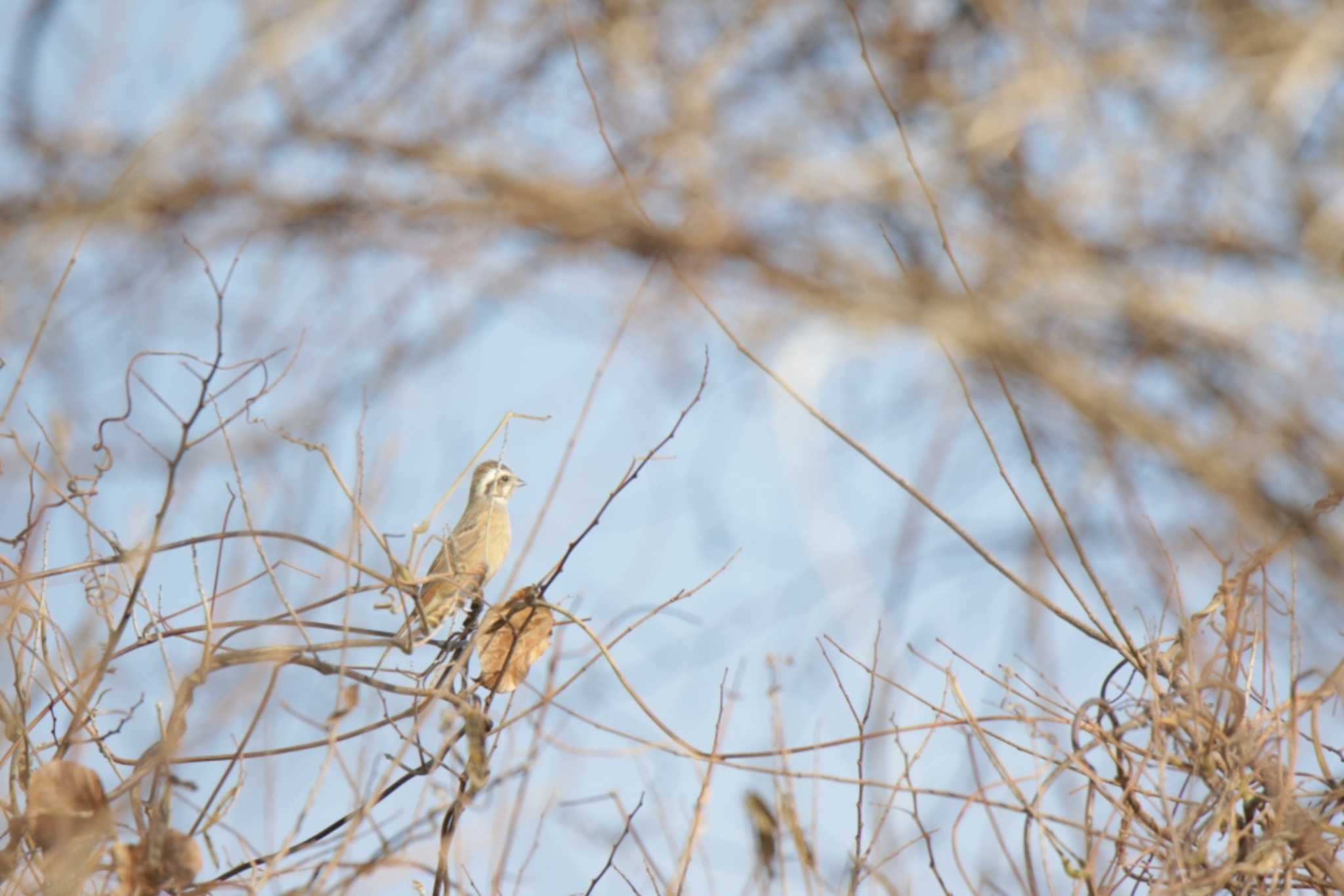 Untitled Photo by KAZUSAN