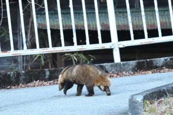 未同定 中川温泉 2024年1月4日(木)