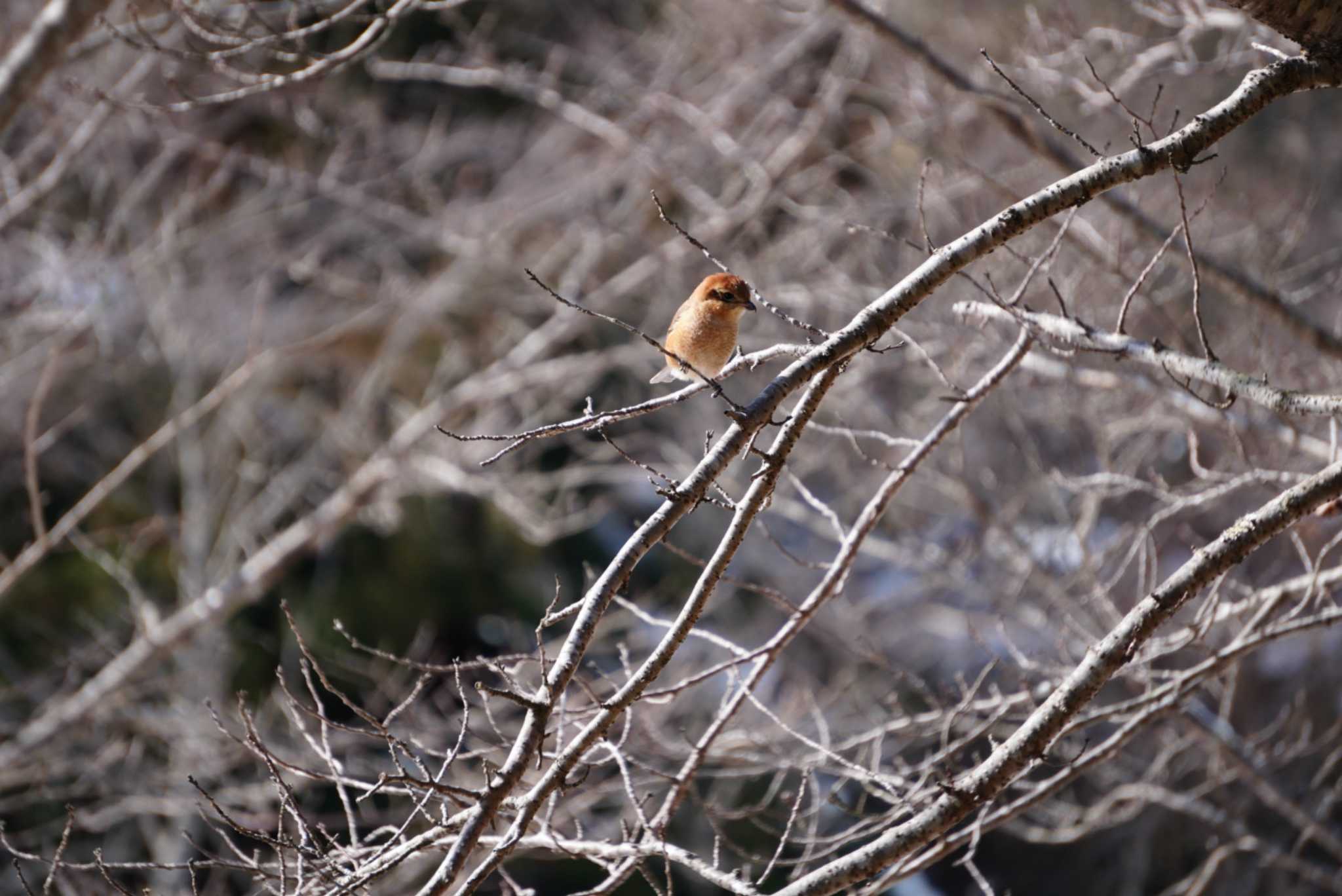 Untitled Photo by アカウント15174