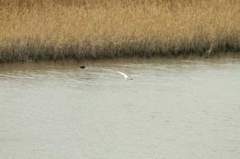 未同定 場所が不明 2018年11月7日(水)