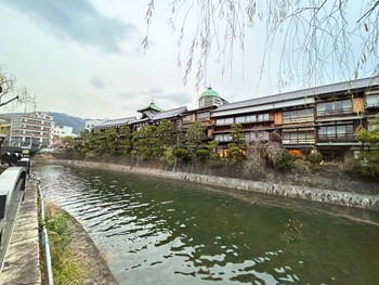 2024年1月20日(土) 伊東温泉の野鳥観察記録