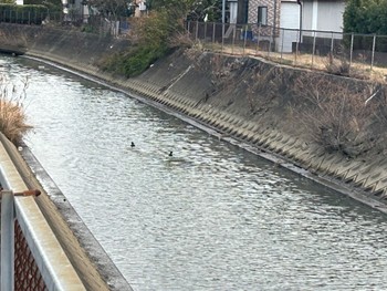 未同定 場所が不明 2024年1月30日(火)