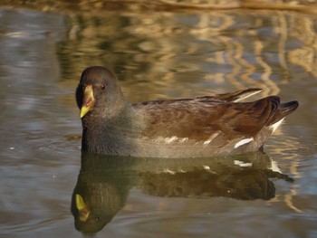 バン まつぶし緑の丘公園 2024年2月10日(土)