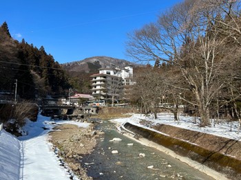 2024年2月10日(土) 四万温泉(四万川)の野鳥観察記録