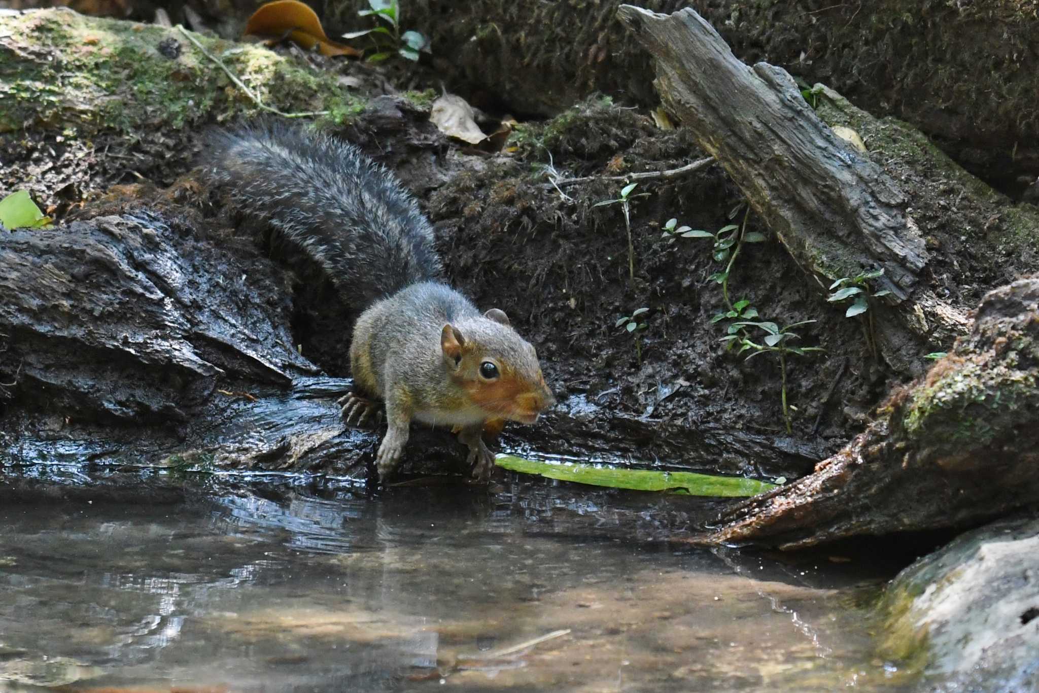 Untitled Photo by あひる