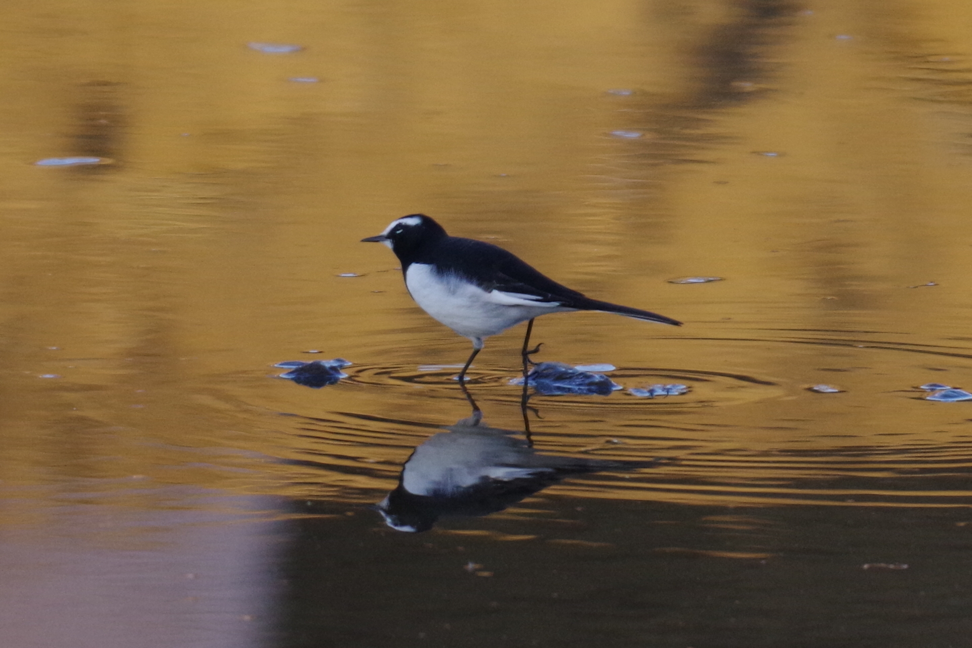 Untitled Photo by Taka Oka