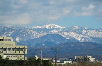 タゲリ 小松市 2019年1月13日(日)