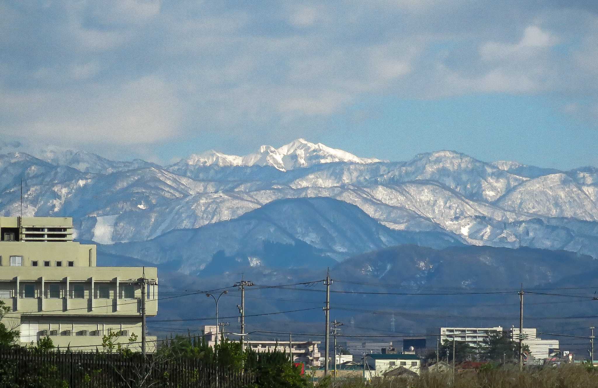 小松市 タゲリの写真 by bluebird