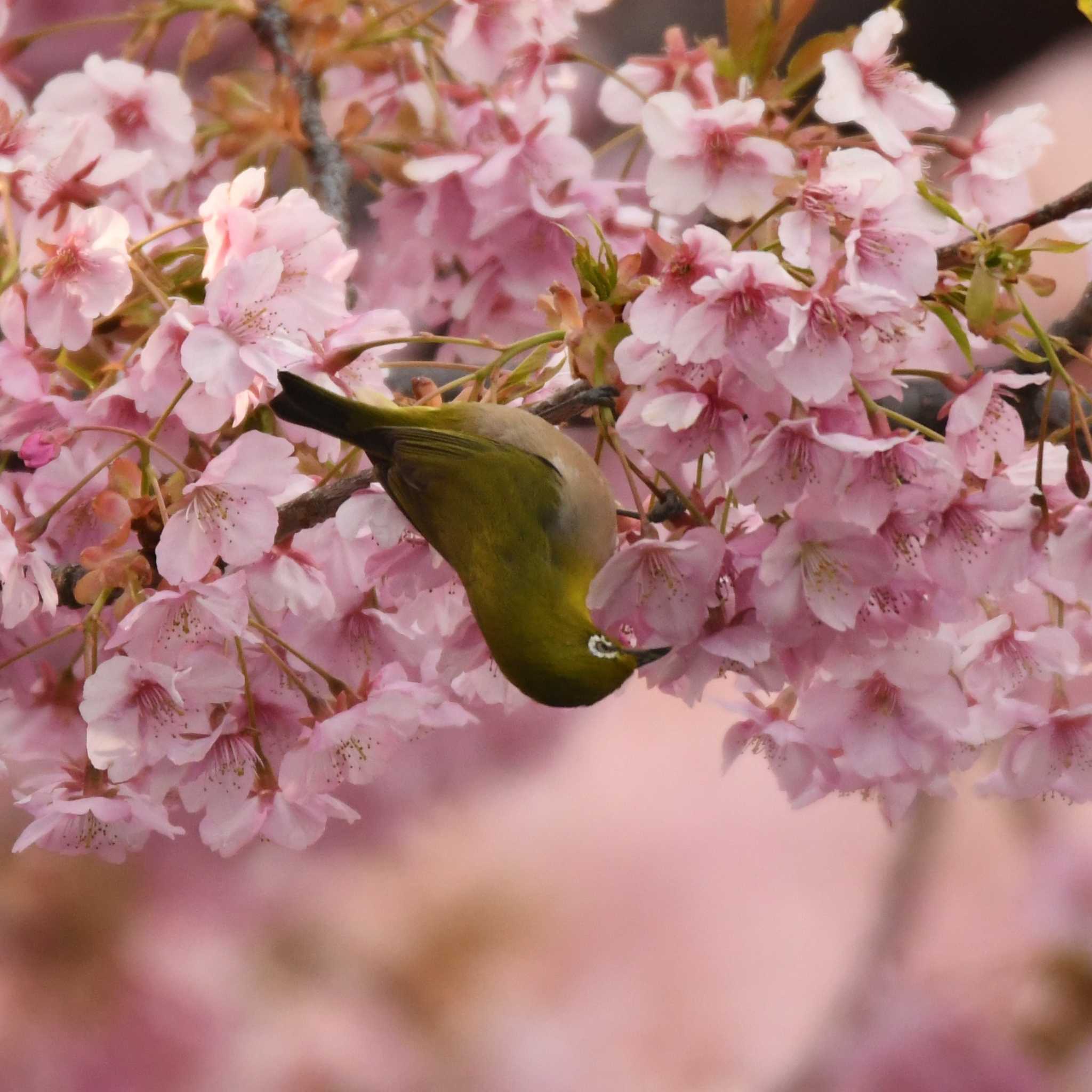 Untitled Photo by エスパシオ