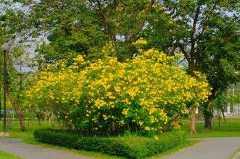 未同定 場所が不明 撮影日未設定