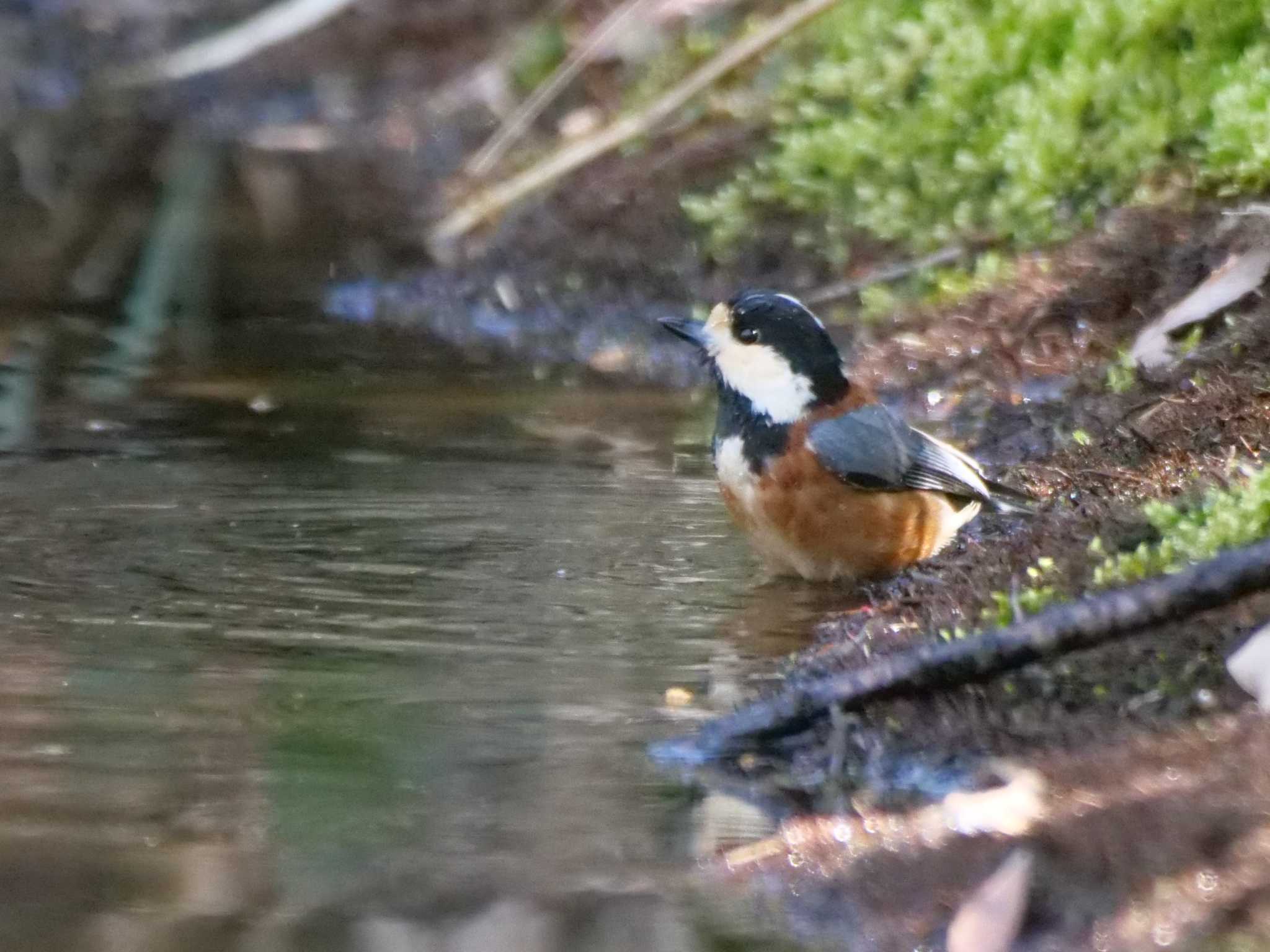 水をチェック・・いざ・・。