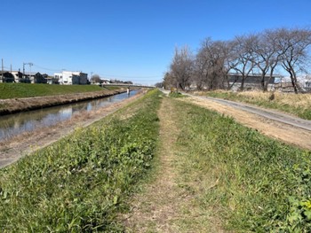 2024年3月3日(日) 秋ヶ瀬公園の野鳥観察記録