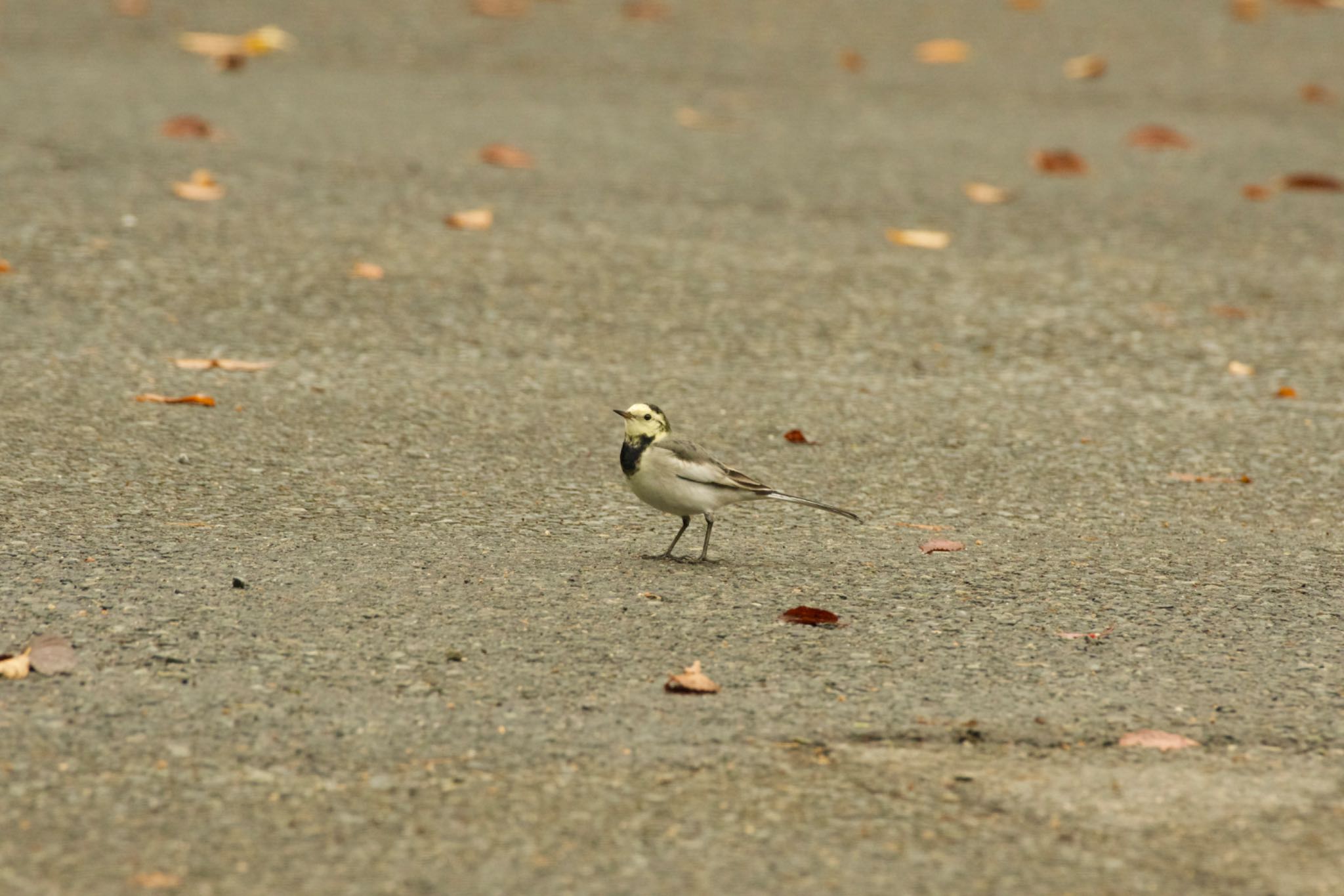 Untitled Photo by 015