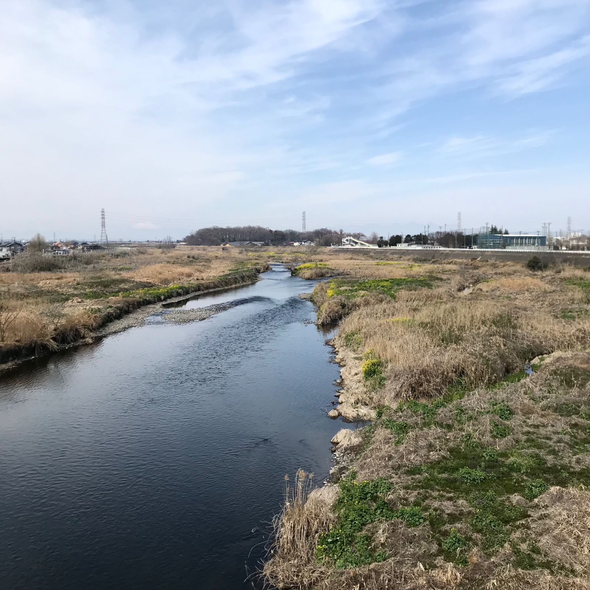 境御嶽山自然の森公園(伊勢崎市)  イソシギの写真 by KozBird