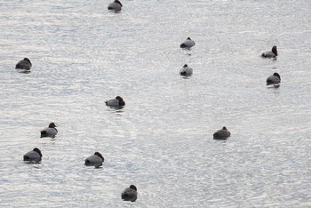 未同定 場所が不明 2018年12月28日(金)