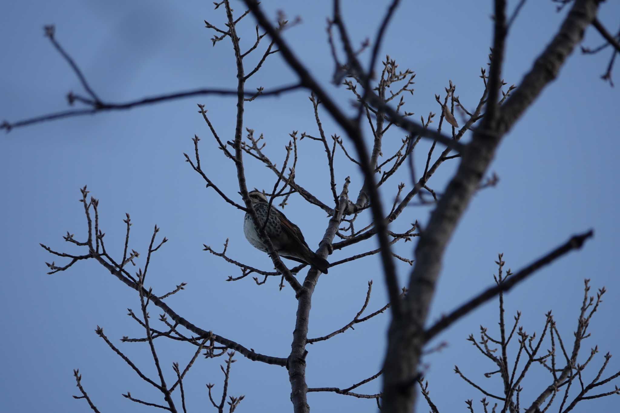 Untitled Photo by レスター