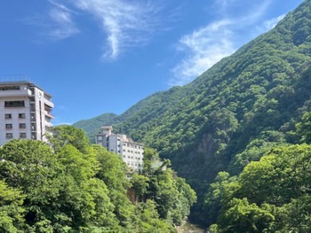 2024年6月1日(土) 群馬県沼田市利根町の野鳥観察記録