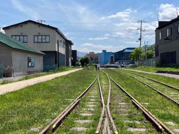 2024年6月7日(金) 小樽市の野鳥観察記録